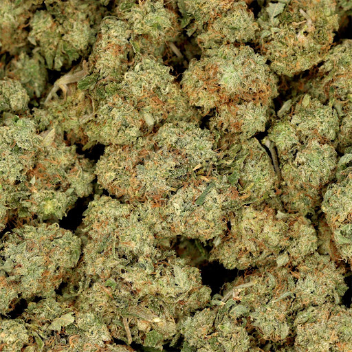 Blue Cheese AA+ - Image 3