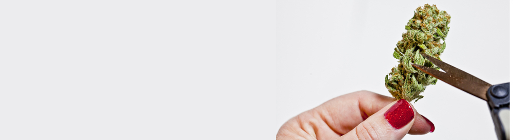 Flower store with different treasures 
